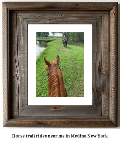 horse trail rides near me in Medina, New York